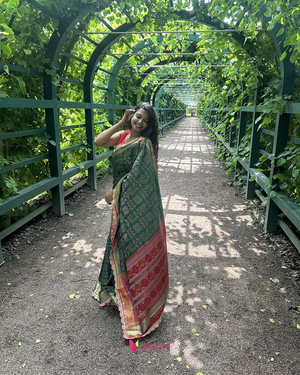 Banarasi Silk with Patola Print