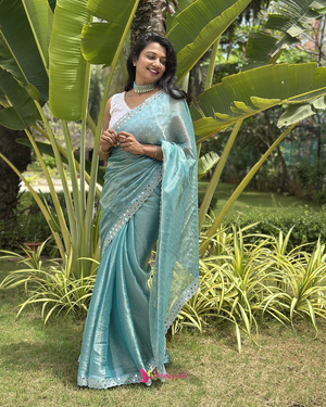 Mirror Work Georgette Saree